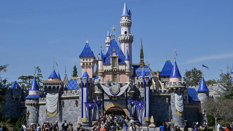 Disney to Pay out $9.5 Million Settlement to Some Disneyland Customers