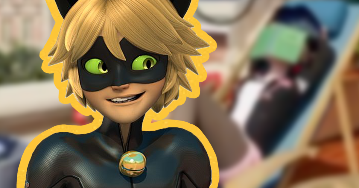 Lady bug and cat noir anime