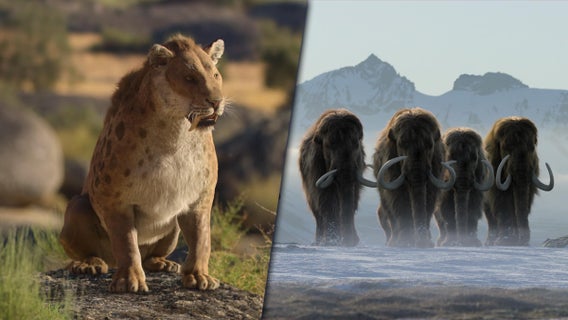life-on-our-planet-netflix-series