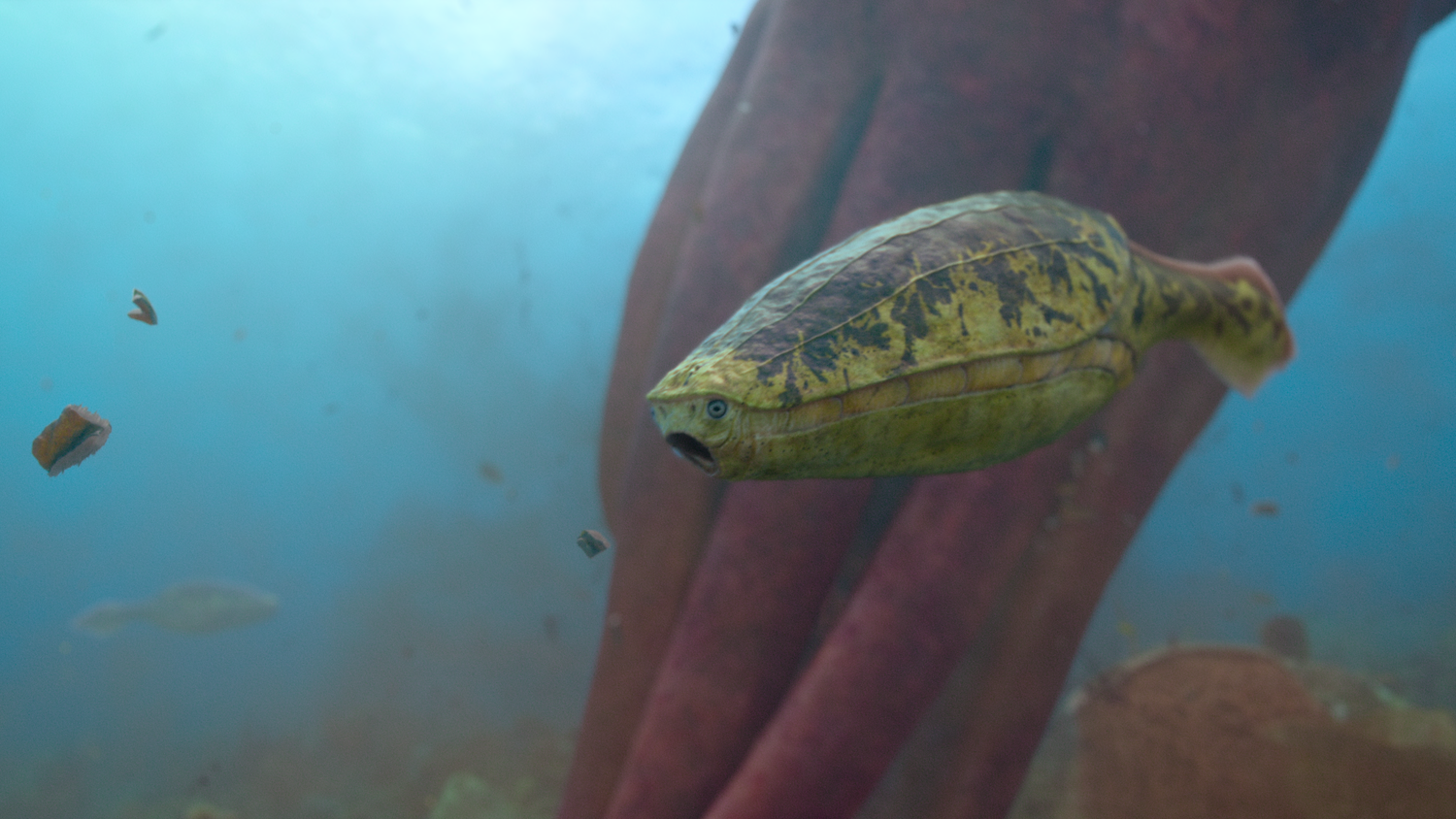 Steven Spielberg's Life on Our Trailer Released