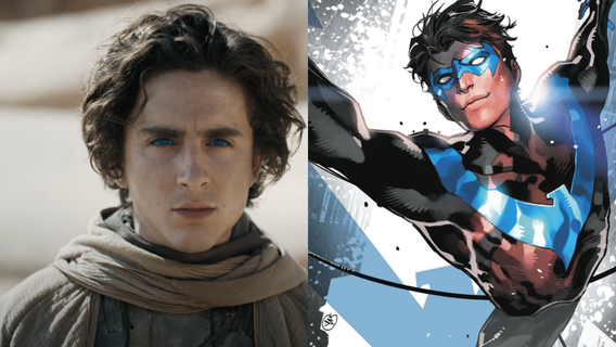 Timothee Chalamet Nightwing