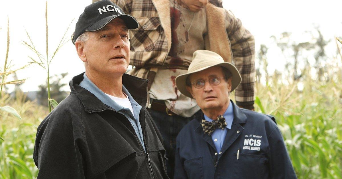 The Legacy Of Mark Harmon Sterling Kbrowns Moving Ncis Tribute - ns7x2wb