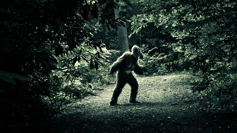Mississippi 'Bigfoot' Footage Resurfaces — Check It Out for Yourself