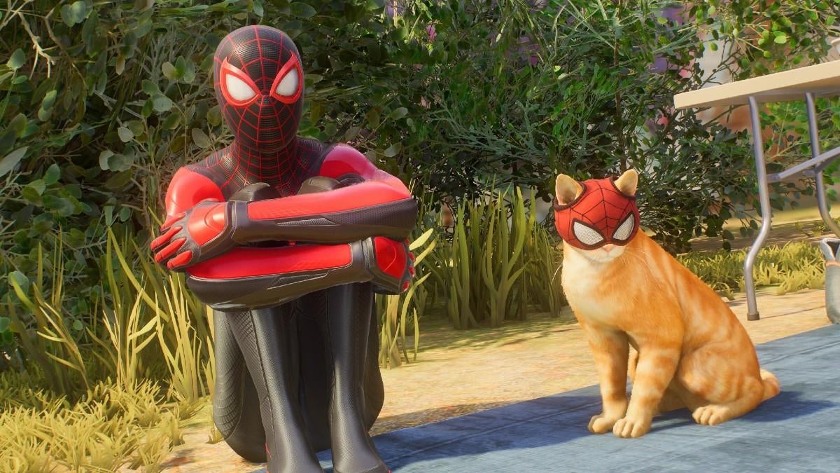 spider-man-2-review-spider-cat.jpg