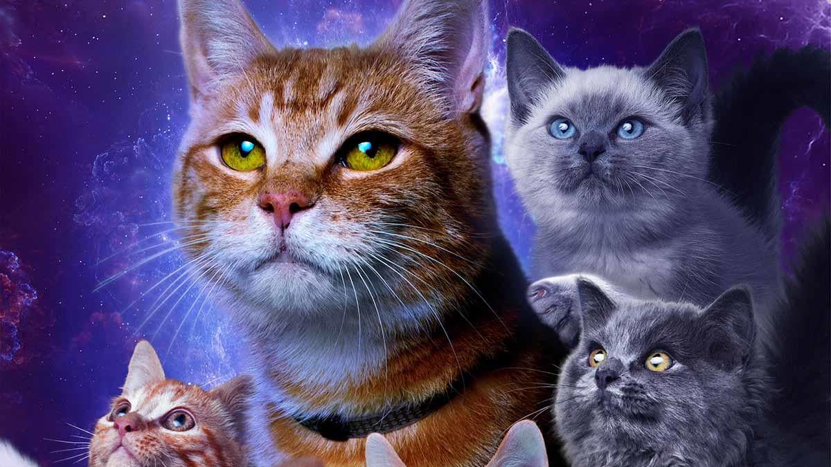 the-marvels-goose-national-cat-day
