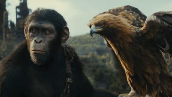 kingdom-planet-of-the-apes-teaser