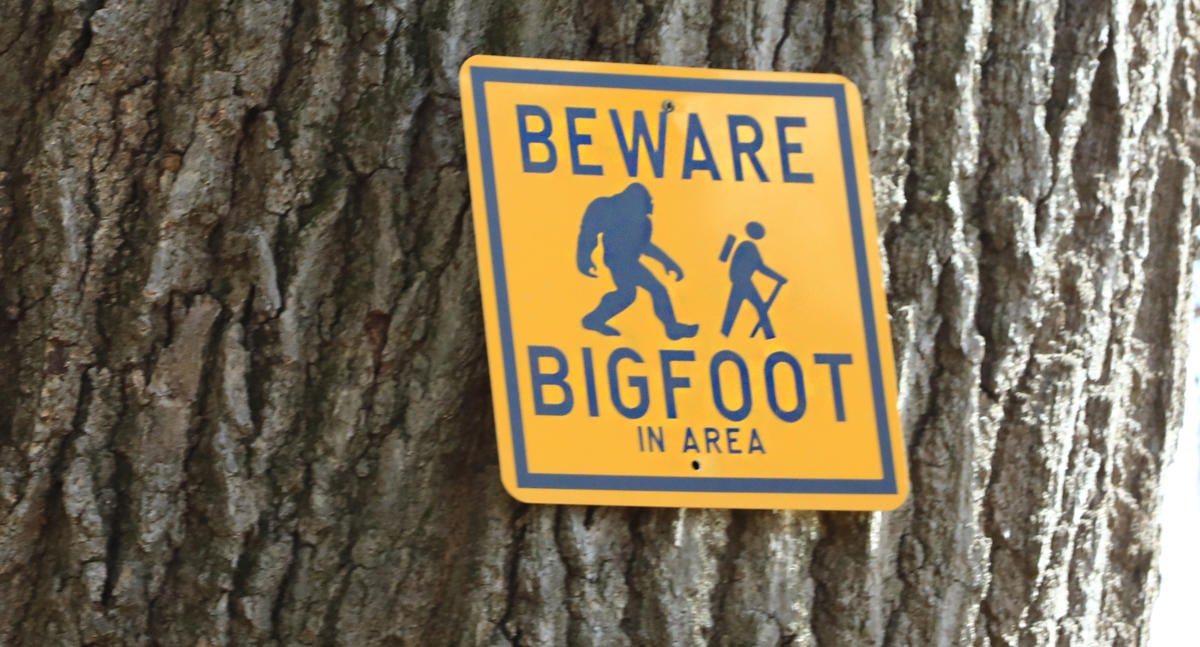Bigfoot warning area sign on a tree trunk