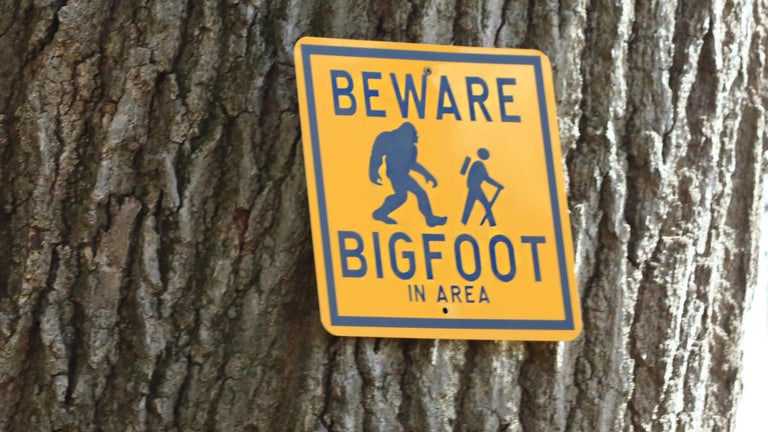Bigfoot Experts Speak out on Appalachian Mountain Sightings