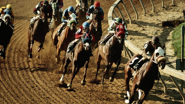 Dozens of New York Racehorses Killed After Suspected Arson