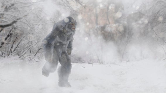 Yeti, illustration