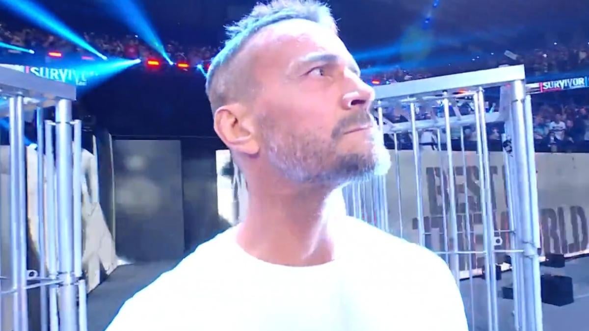 WWE Survivor Series 2023: Triple H Comments And Fans React To CM Punk's  Surprising Return