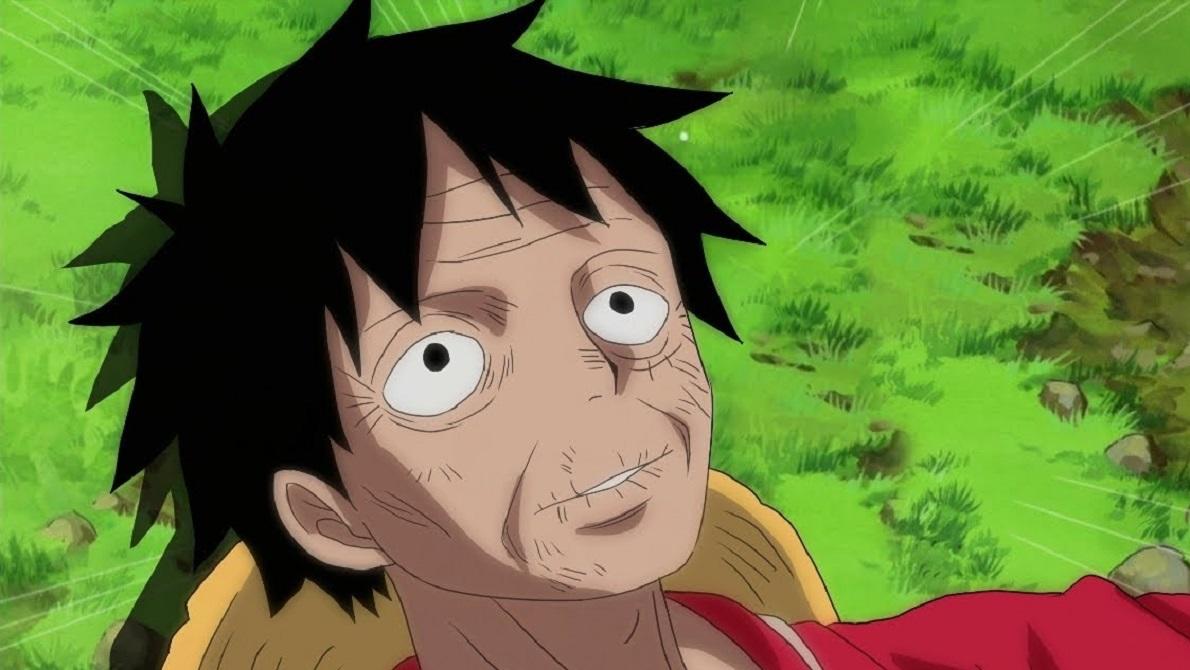 11 Facts About Monkey D. Luffy (One Piece) 