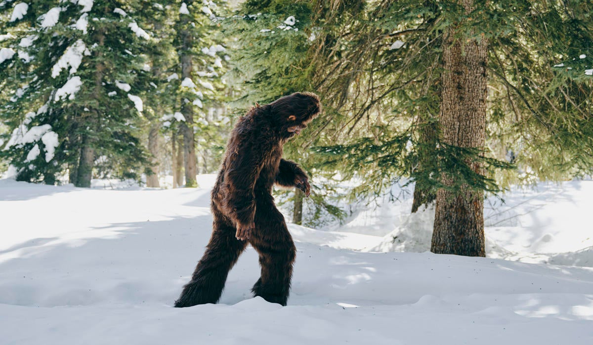 Sasquatch Bigfoot in a Winter Forest