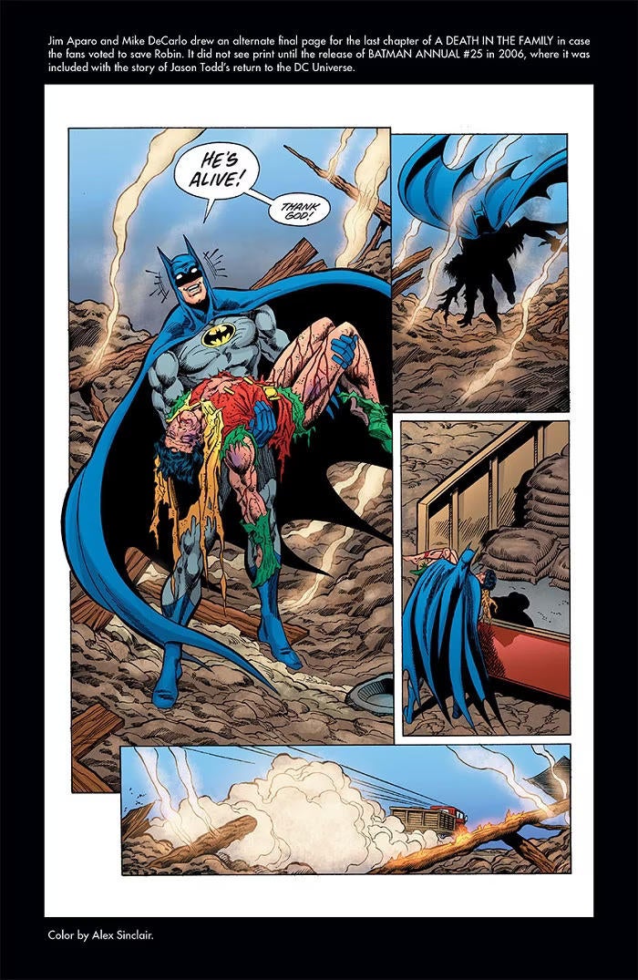 batman-robin-lives.jpg