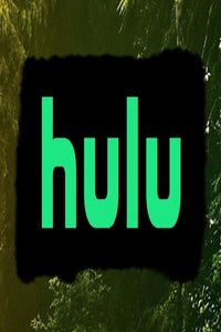 hulu-logo-7