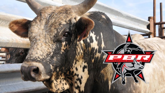 PBR Bull Riding - Team Challenge: Salt Lake City