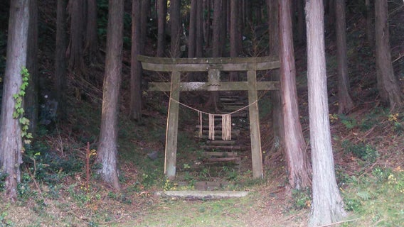Entrance to the mountain Torii