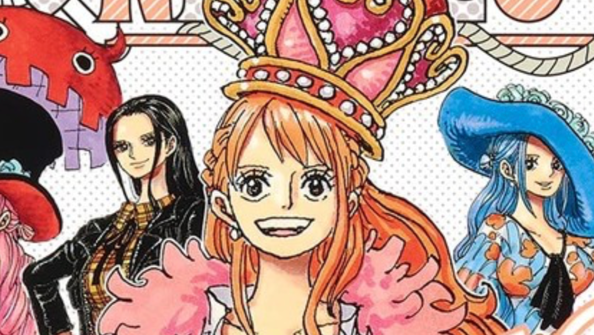 New One Piece Heroines Novel Announced