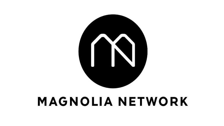 Magnolia Network Couple Secretly Separated in 2023