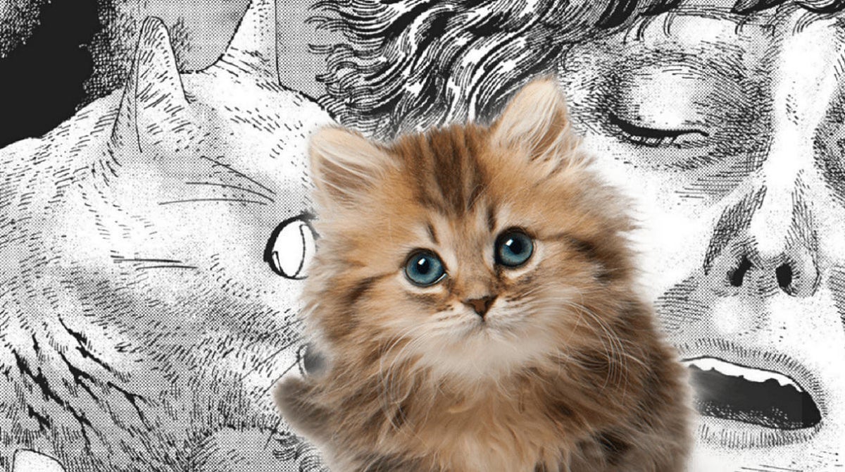 Nyaight Of The Living Cat Anime Night of the Living Cat May Be Getting an Anime