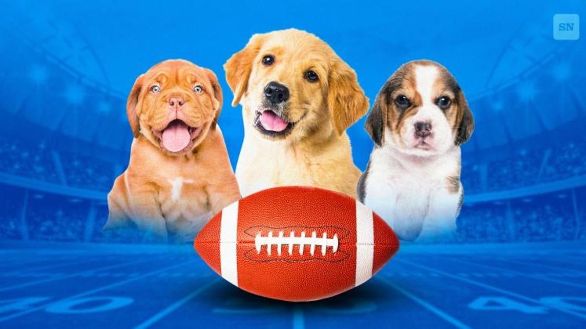 Puppy Bowl