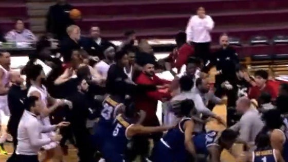 tacuiwfight.jpg