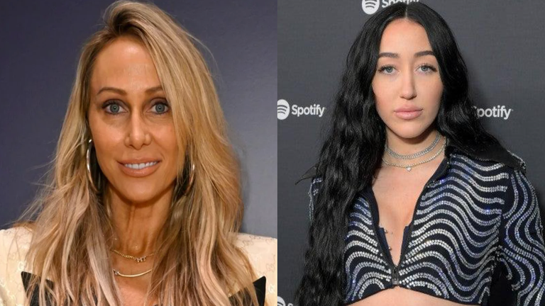 Tish Cyrus Denies Daughter Noah Cyrus' Claims About Stealing Husband Dominic Purcell