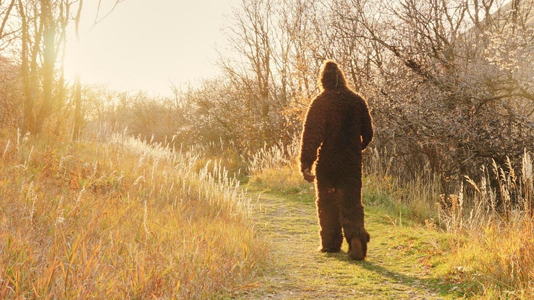 Bigfoot on the Move? Hikers Find Alleged Proof on UK Coastline