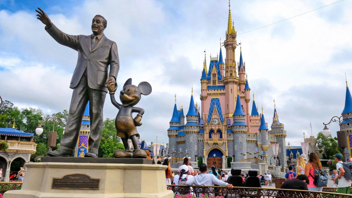 Disney Asks Court to Dismiss Wrongful Death Case, Cites Streaming Terms