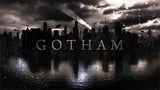 gotham-fox