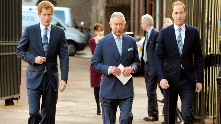 King Charles' Plan to Make Peace Between Sons Prince Harry and Prince William