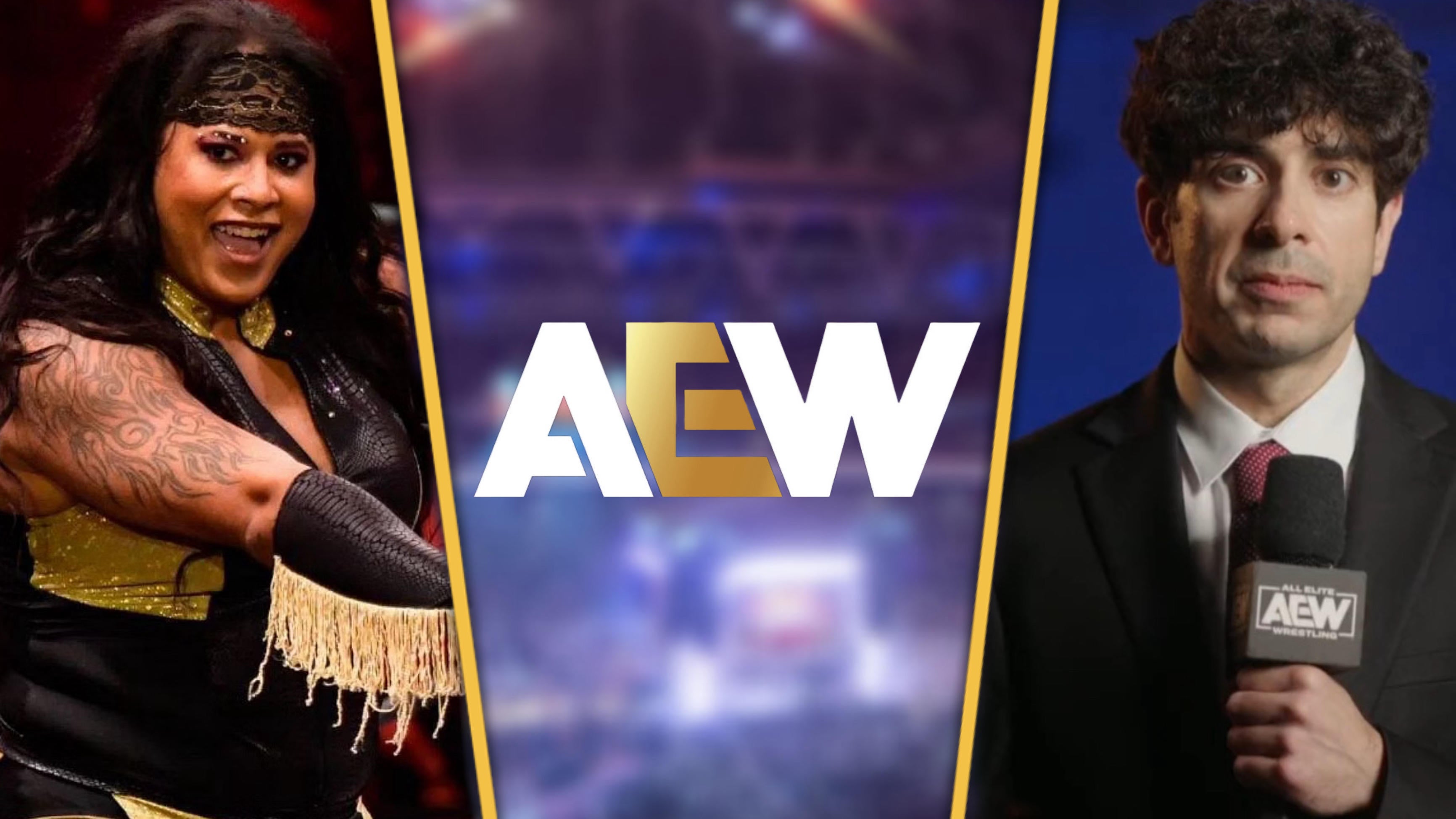 AEW President Tony Khan "Disappointed" by Oklahoma Athletic Commission's Warning About Nyla Rose