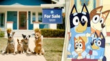 bluey-sign-zillow-ryan-reynolds