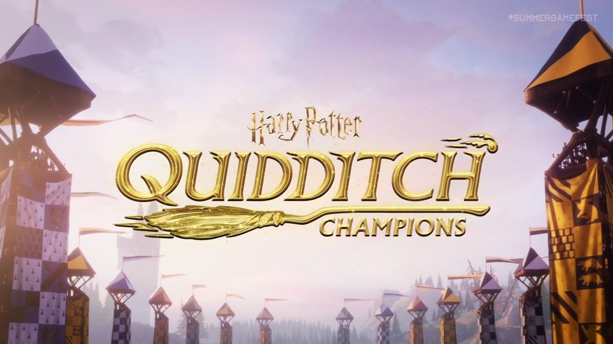 harry-potter-quidditch-champions