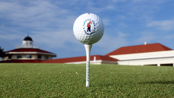 us-open-pinehurst-golf-ball-tee-g.png
