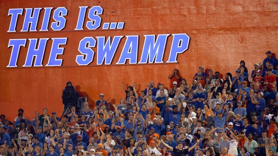 floridatheswamp.jpg