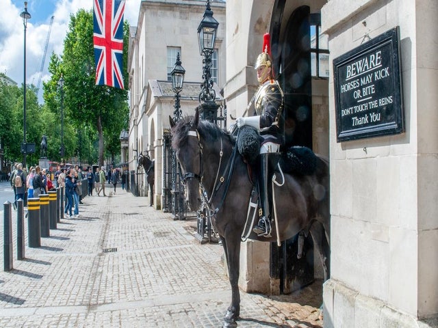 Horse in King Charles' Guard Bites Tourist