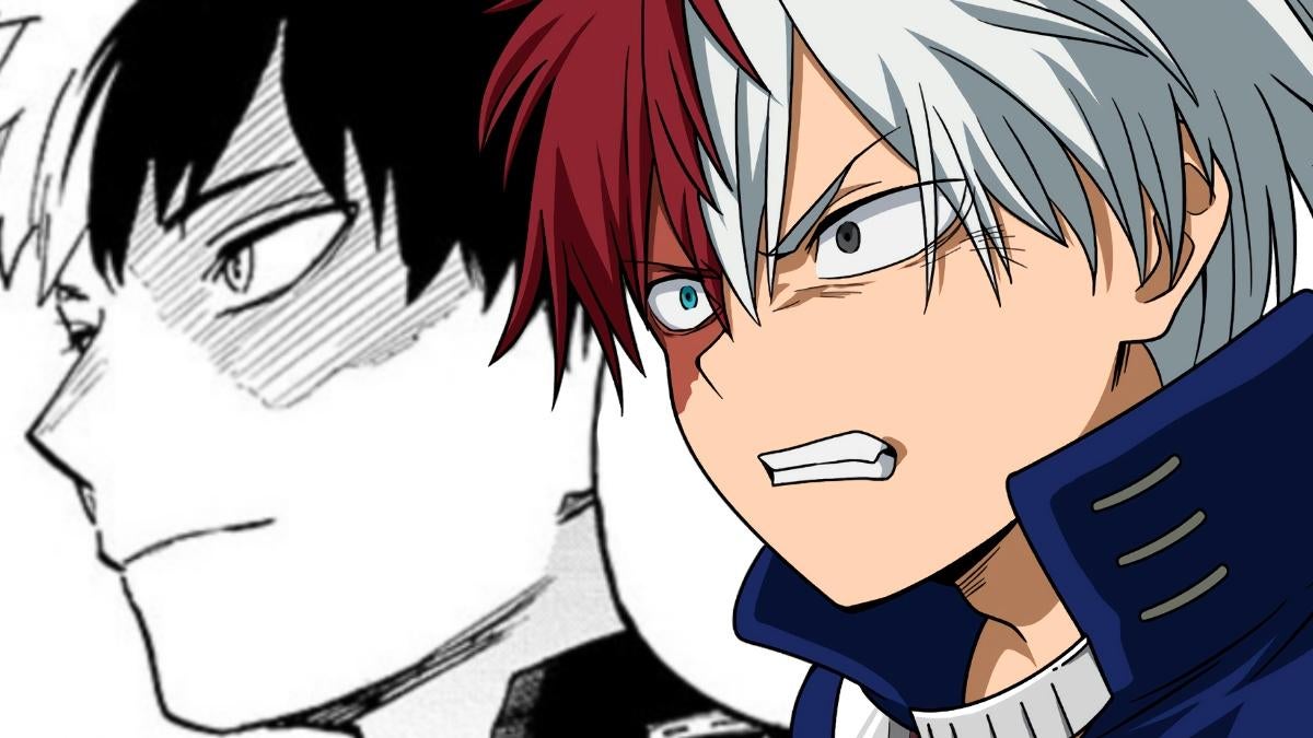 my-hero-academia-ending-shoto-todoroki-time-skip