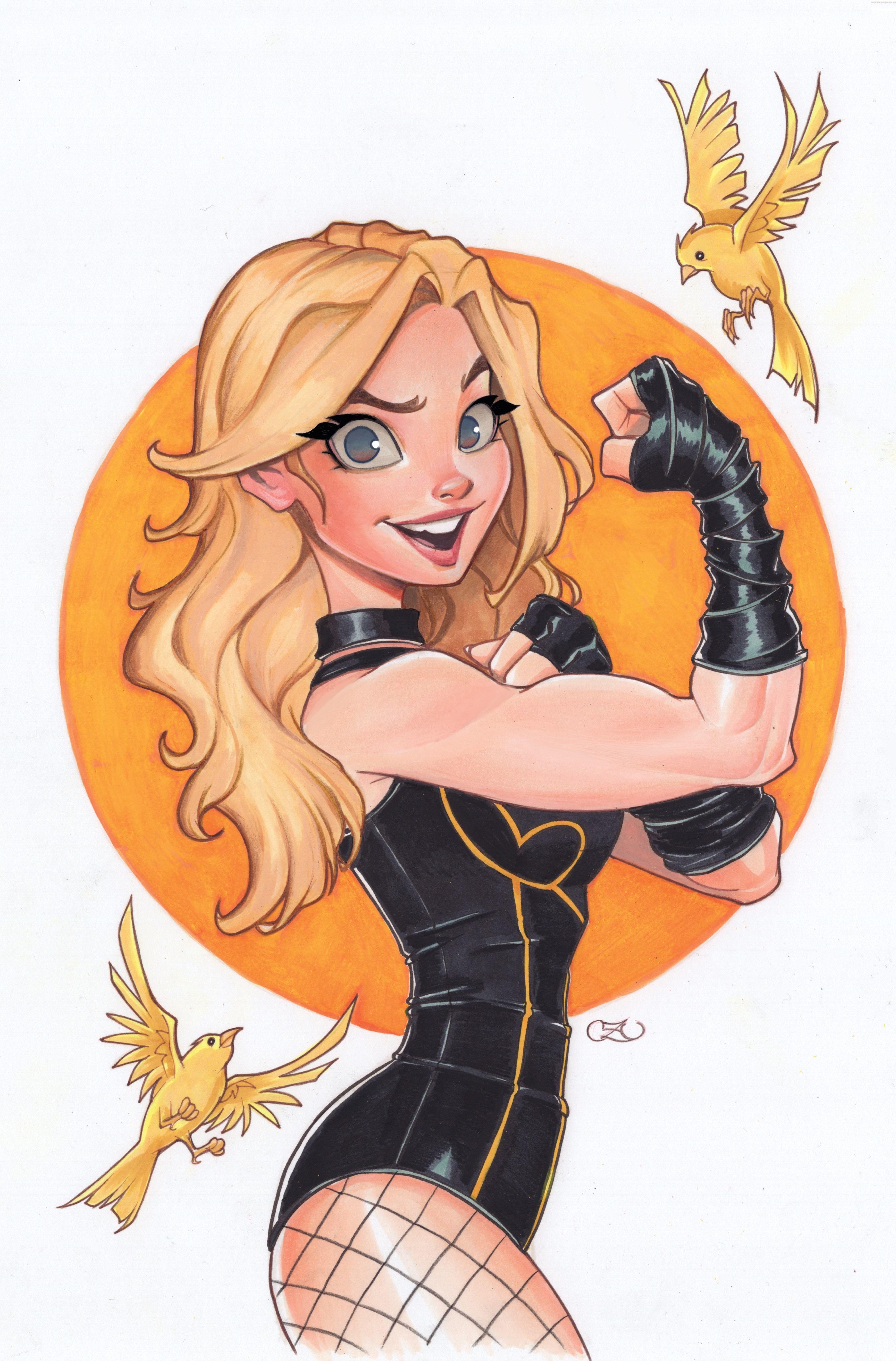 DC Announces New Black Canary Miniseries From Tom King and Ryan Sook