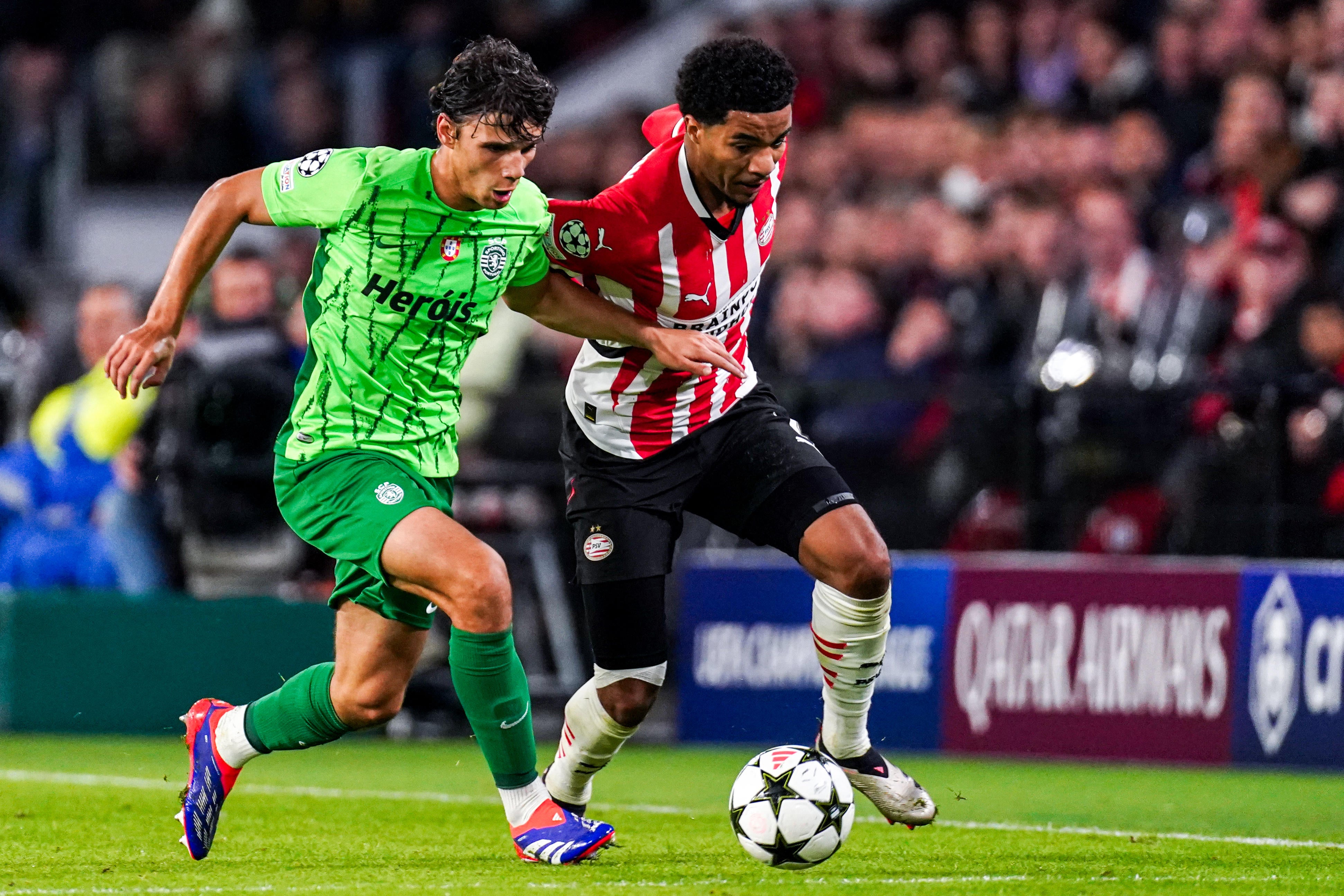 PSV vs. Sporting CP Champions League Match Highlights (10/1