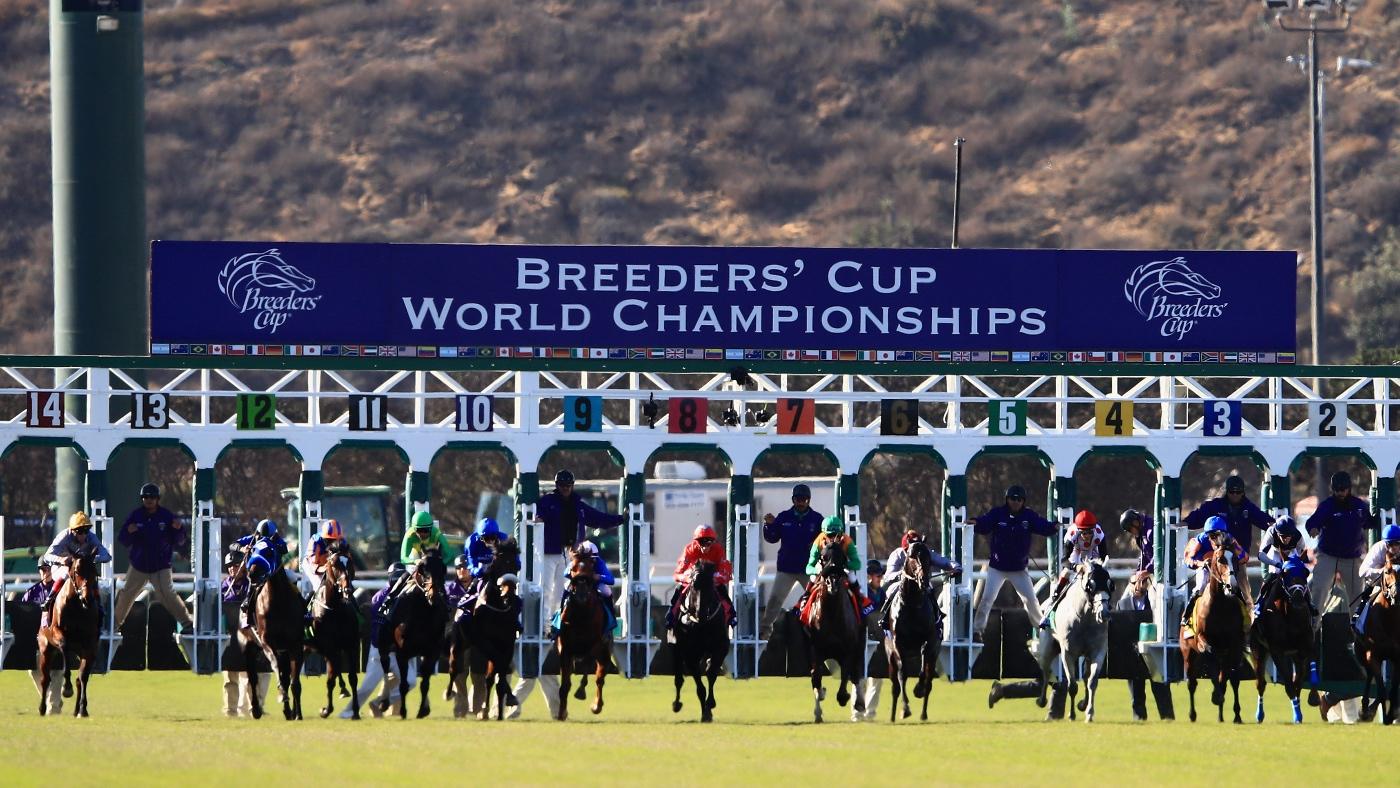 Where to watch 2024 Breeders' Cup: Start time, odds, live stream, post positions, horses, TV channel, preview