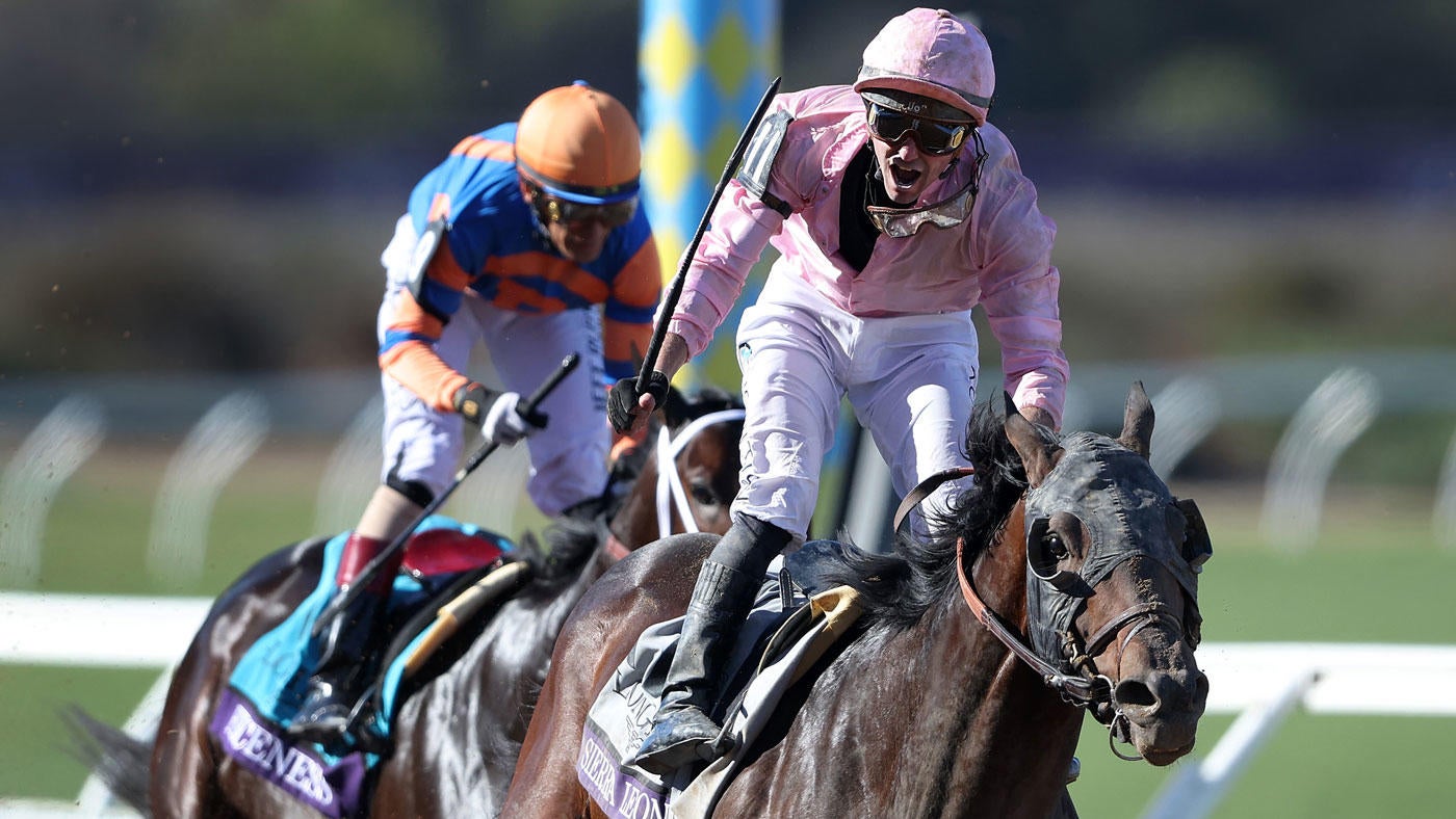 sierra-leone-breeders-cup-