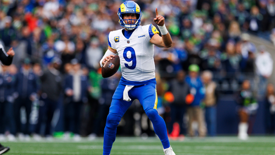 stafford.png