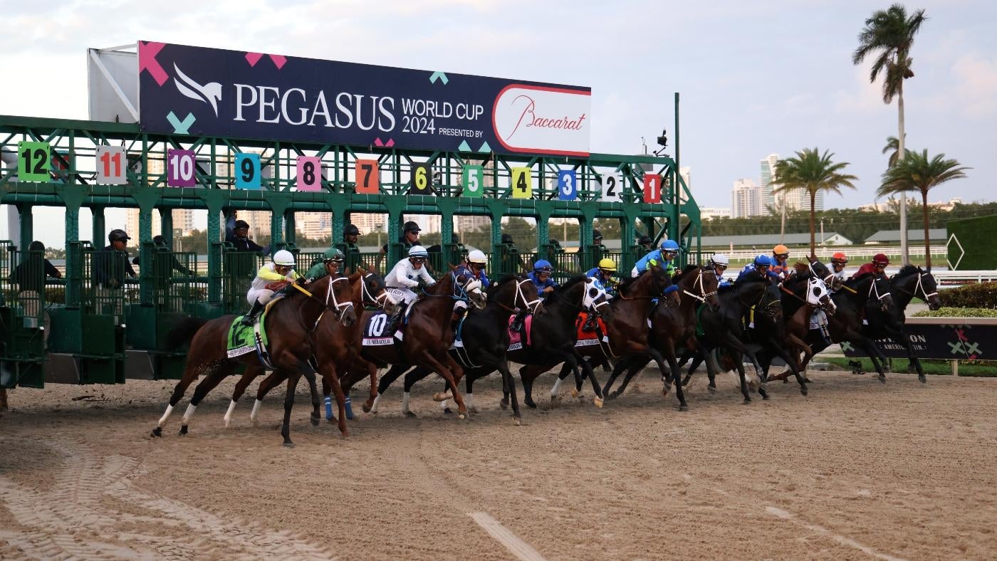 2025 Pegasus World Cup predictions, odds, horses, contenders: Expert who nailed last year's winner gives picks