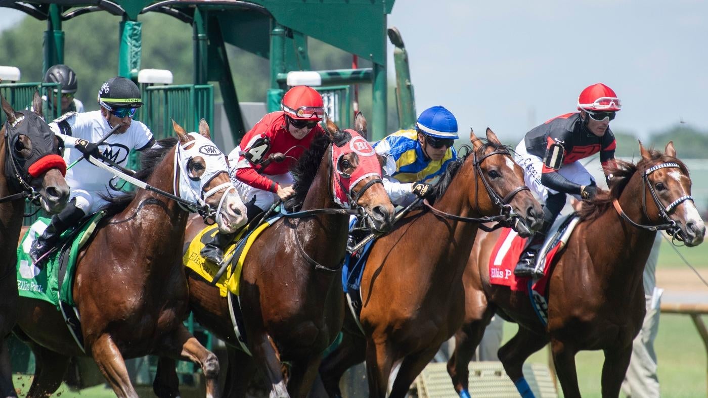 Tampa Bay Derby 2025 predictions, horses, odds, field: Surprising picks from top horse racing expert