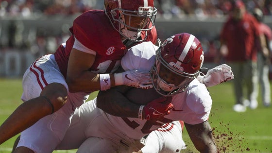 bama-a-day-1.jpg