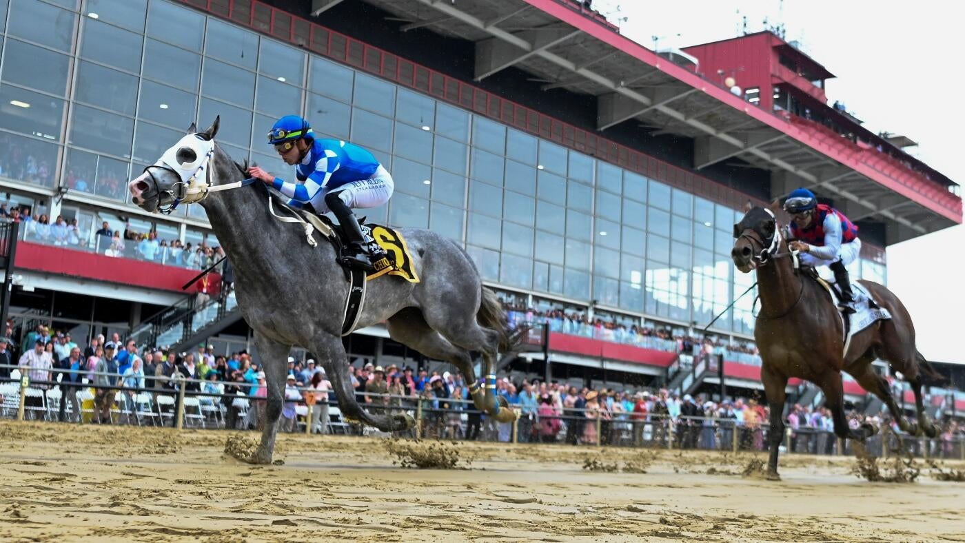 
                        Sandman profile: 2025 Preakness Stakes odds, post position, history and more to know
                    