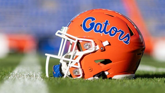 gators.jpg