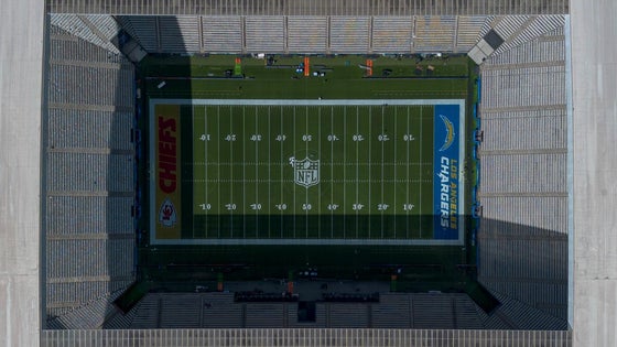 brazilfield.jpg