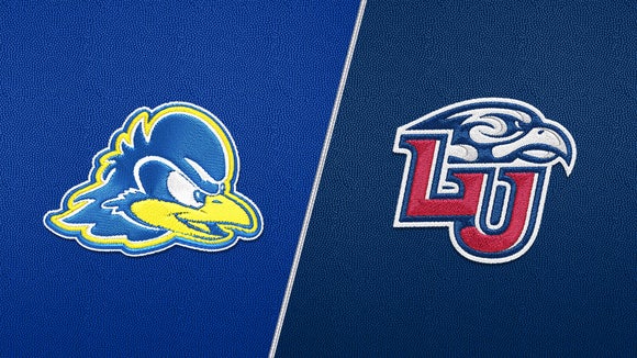 Delaware vs Liberty